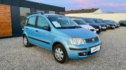 
										Fiat Panda full									