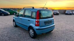 
										Fiat Panda full									