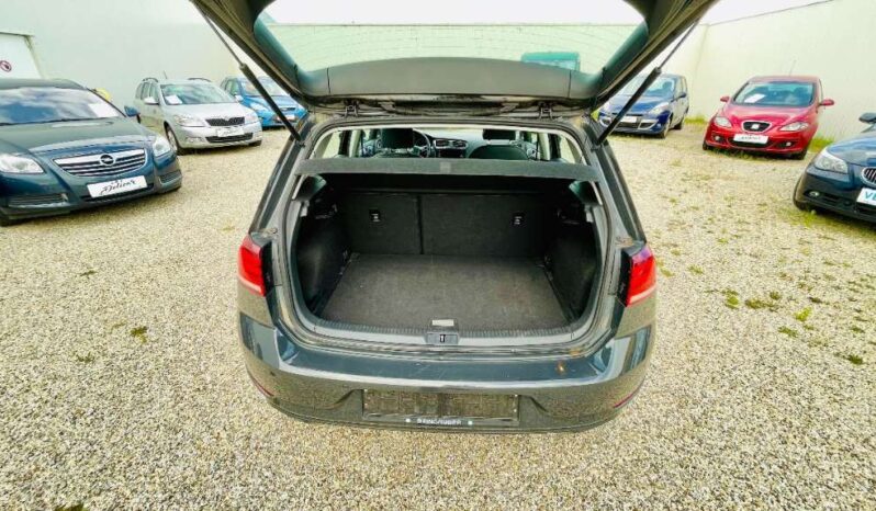
								VW Golf 1,6 TDI SCR full									