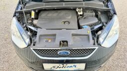 
										Ford Galaxy 2.0 TDCi Trend full									